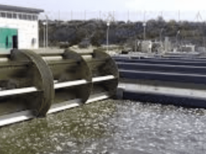 Aguas residuales y efluentes